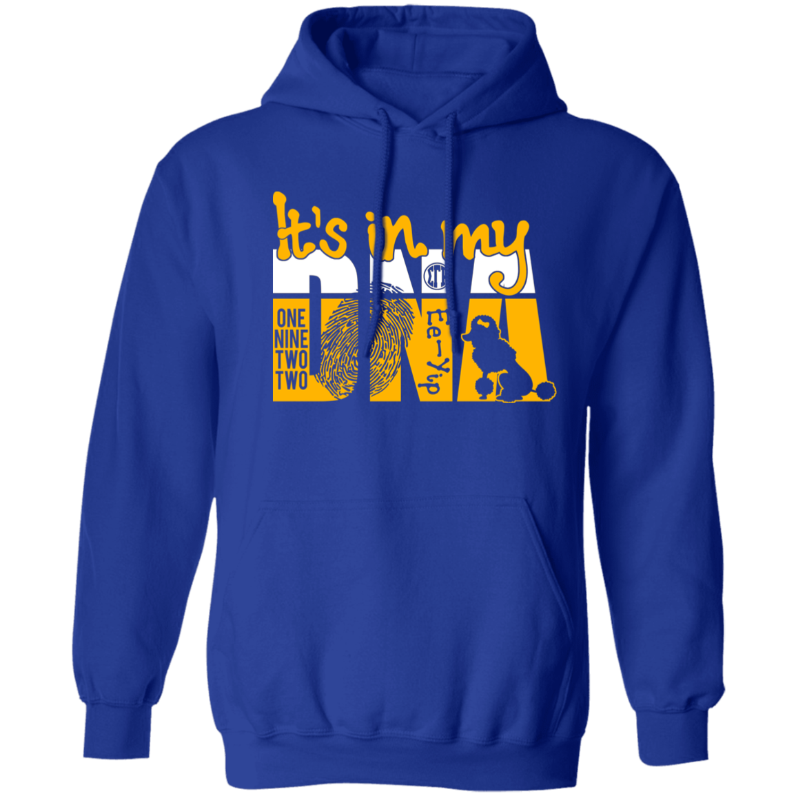 In My DNA SGRho Pullover Hoodie
