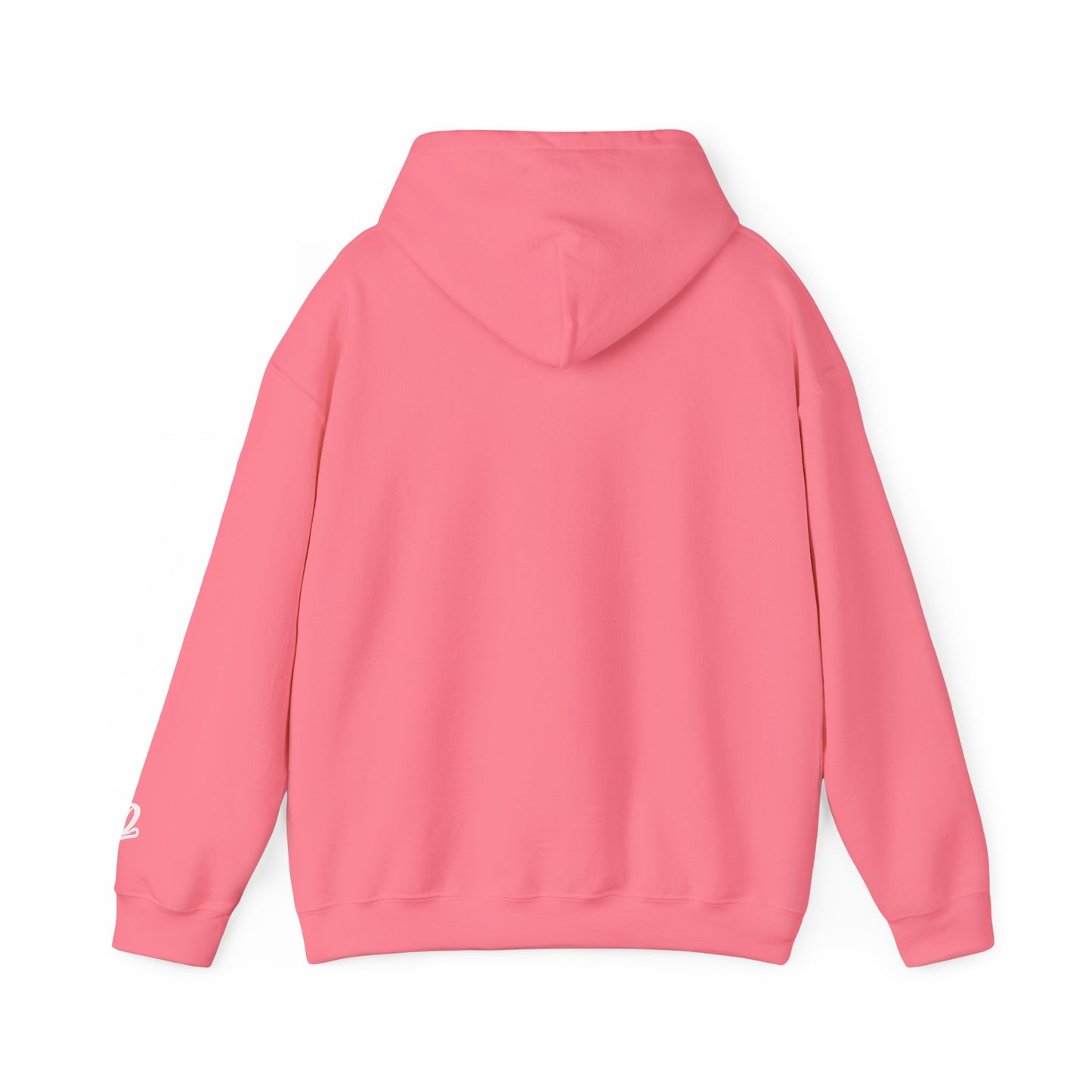 Dreamville 2025 Hoodie