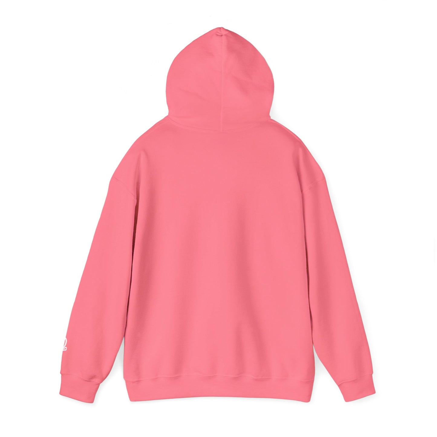 Dreamville 2025 Hoodie